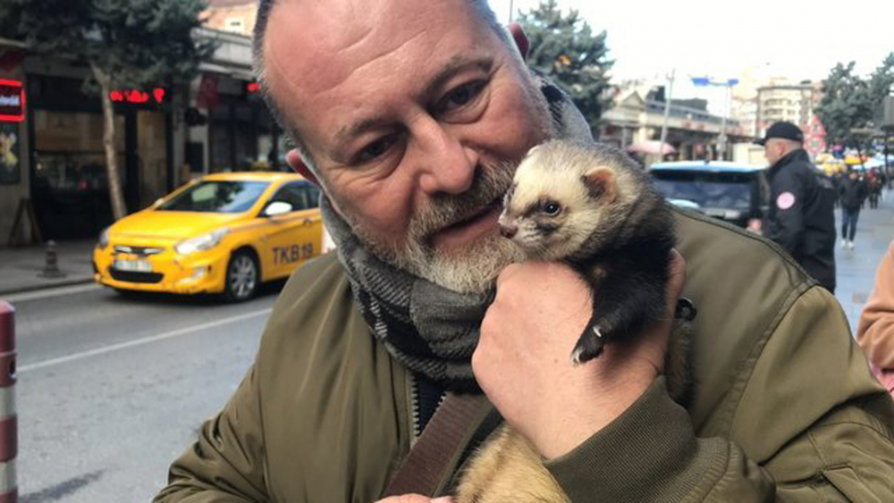 Gelinciğine tasma taktı Taksim'e çıktı! Görenlerin ağzı açık kaldı 3