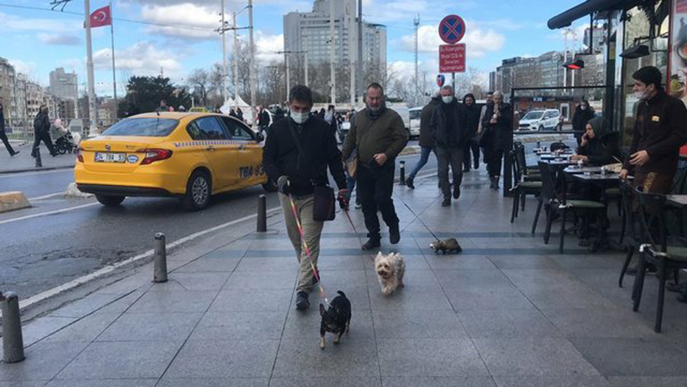 Gelinciğine tasma taktı Taksim'e çıktı! Görenlerin ağzı açık kaldı 4