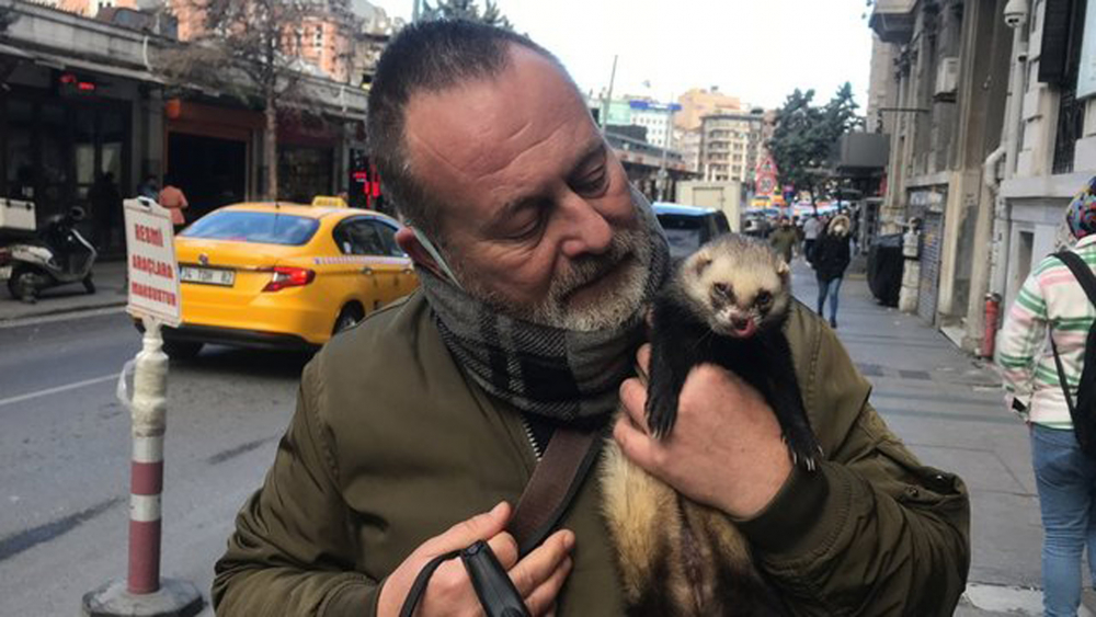 Gelinciğine tasma taktı Taksim'e çıktı! Görenlerin ağzı açık kaldı 6