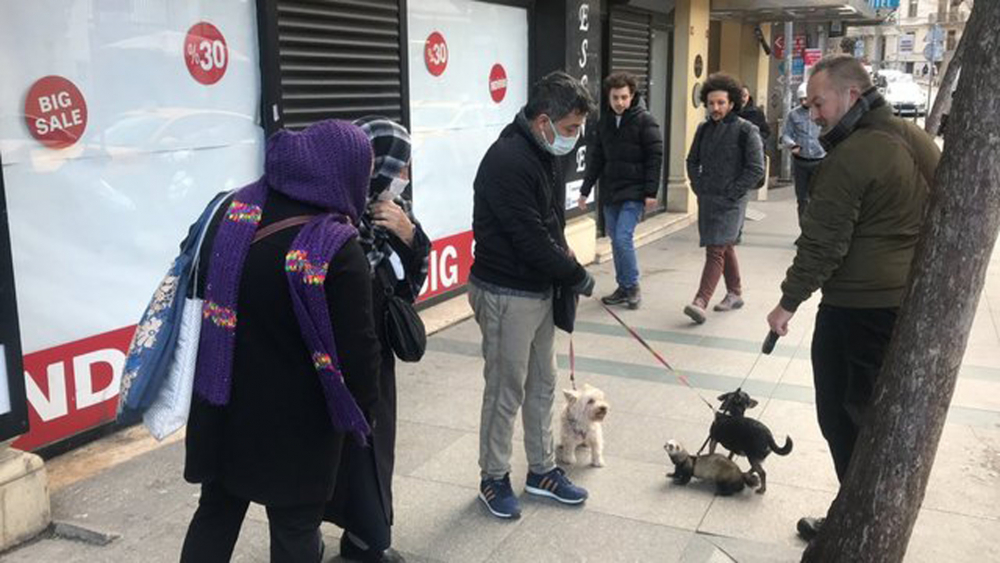 Gelinciğine tasma taktı Taksim'e çıktı! Görenlerin ağzı açık kaldı 7