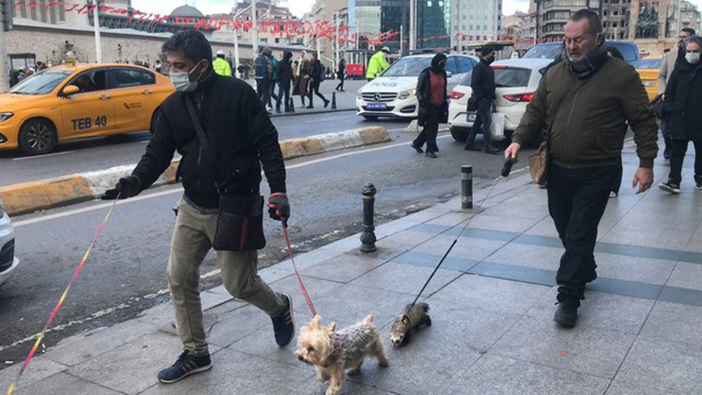 Gelinciğine tasma taktı Taksim'e çıktı! Görenlerin ağzı açık kaldı 8