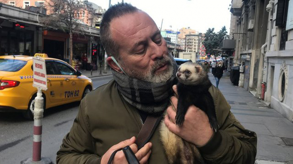 Gelinciğine tasma taktı Taksim'e çıktı! Görenlerin ağzı açık kaldı 9