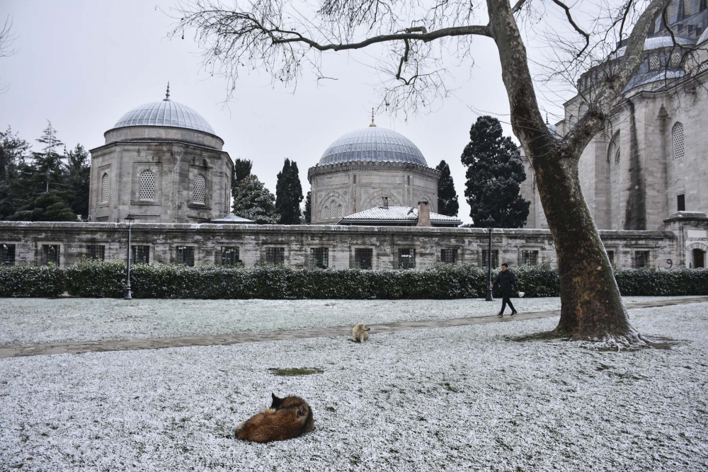 Kar yağışı İstanbul'u beyaz örtüyle kapladı! İşte İstanbul'dan en güzel kar fotoğrafları... 20