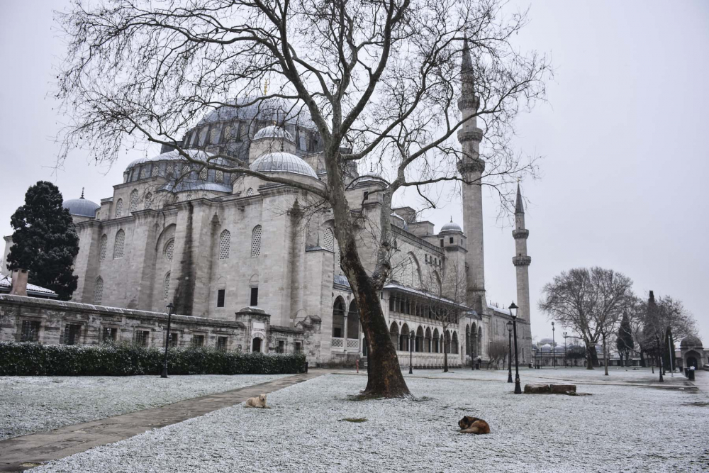 Kar yağışı İstanbul'u beyaz örtüyle kapladı! İşte İstanbul'dan en güzel kar fotoğrafları... 21