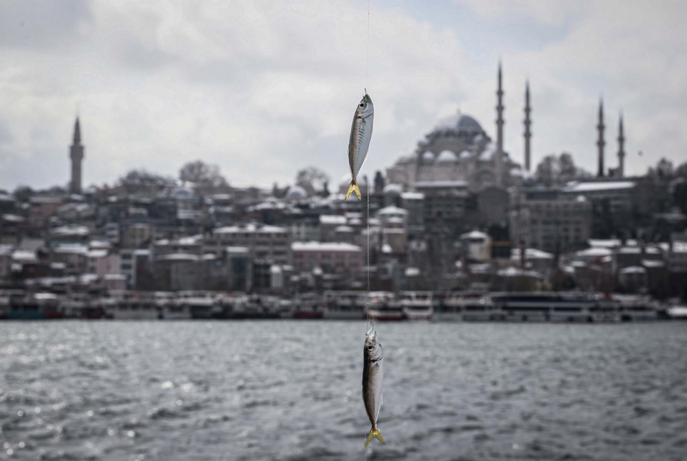 Kar yağışı etkili oldu! Mega kent İstanbul, beyaz gelinliğiyle büyüledi! Kartpostallık görüntüler mest etti 54