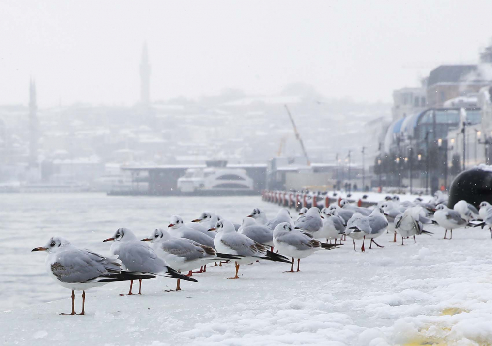 Kar yağışı etkili oldu! Mega kent İstanbul, beyaz gelinliğiyle büyüledi! Kartpostallık görüntüler mest etti 63