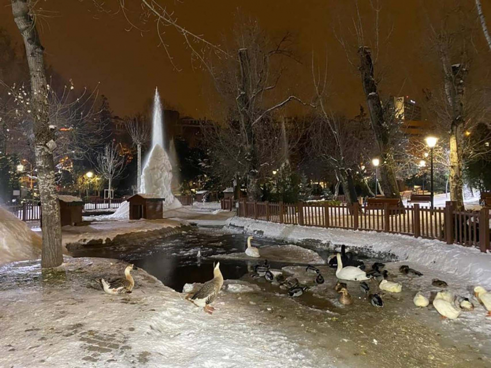 Ankara tam anlamıyla buz tuttu! Görenler gözlerine inanamadı! 4 metre uzunluğunda... 6