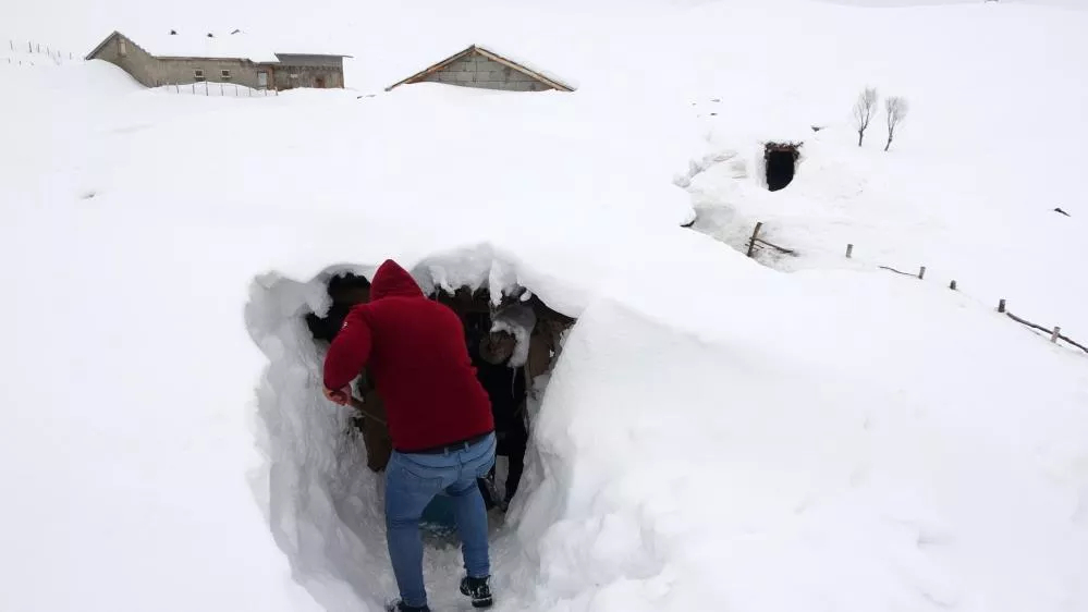 Muş'ta bir köy karlar altında kaldı! Ulaşım açılan tünellerle sağlanıyor! 3