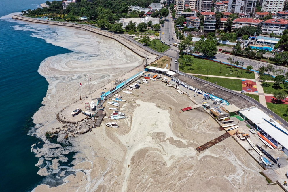 Ekrem İmamoğlu artık balık yiyemeyecek! İBB sayesinde Haliç lağıma döndü, balık bile İstanbul'a küstü! 3