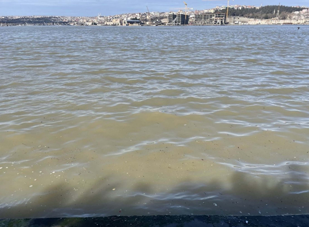 Ekrem İmamoğlu artık balık yiyemeyecek! İBB sayesinde Haliç lağıma döndü, balık bile İstanbul'a küstü! 7