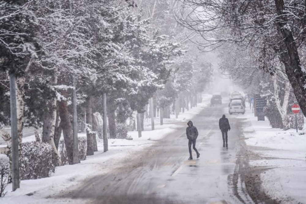 11 Mart 2022 tatil olan iller belli oldu! Kar yağışı birçok ilde eğitime engel oldu! İşte kar tatili olan şehirler!! 1