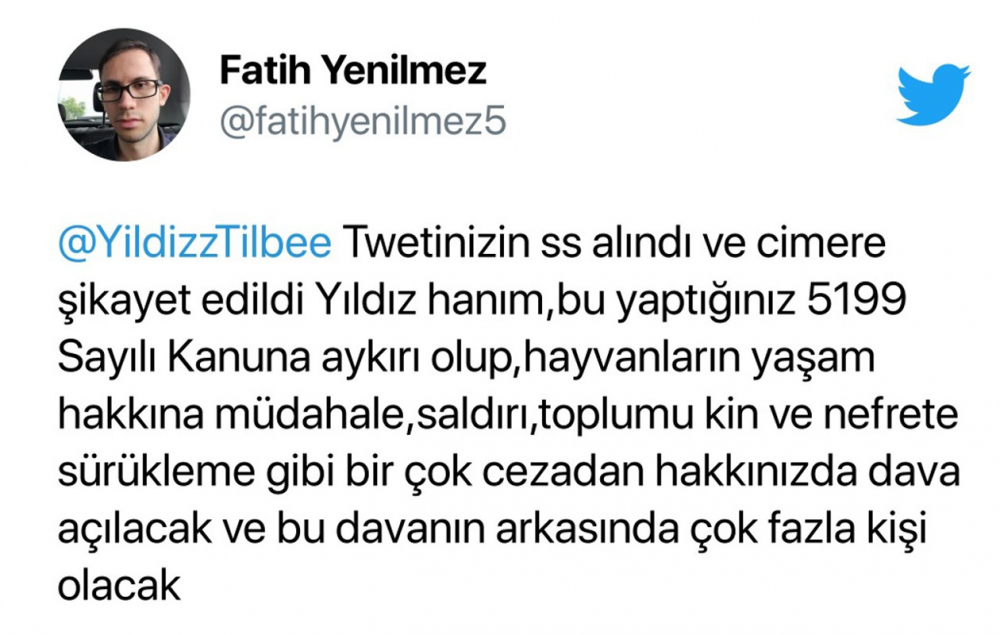 Yıldız Tilbe yine ağzını tutamadı, hayvanlar hakkında skandal sözler sarf etti! 10