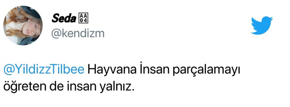 Yıldız Tilbe yine ağzını tutamadı, hayvanlar hakkında skandal sözler sarf etti! 11