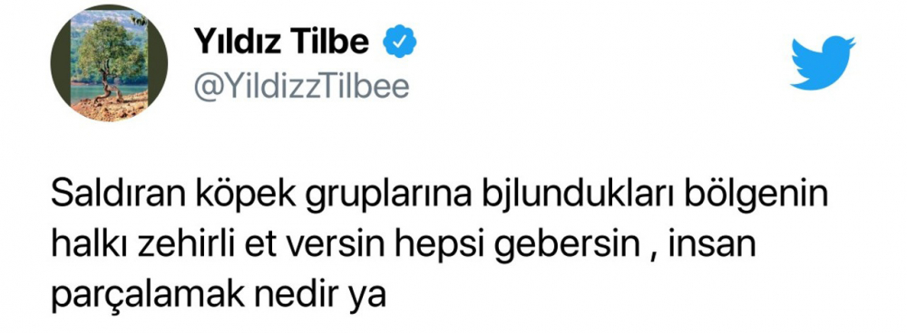 Yıldız Tilbe yine ağzını tutamadı, hayvanlar hakkında skandal sözler sarf etti! 2