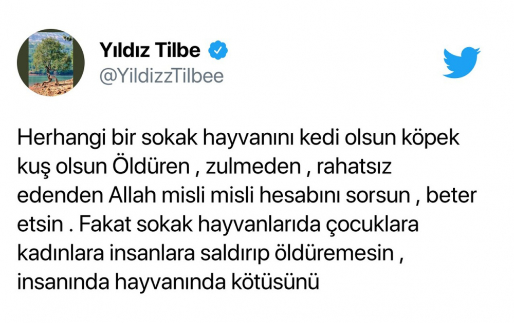 Yıldız Tilbe yine ağzını tutamadı, hayvanlar hakkında skandal sözler sarf etti! 3