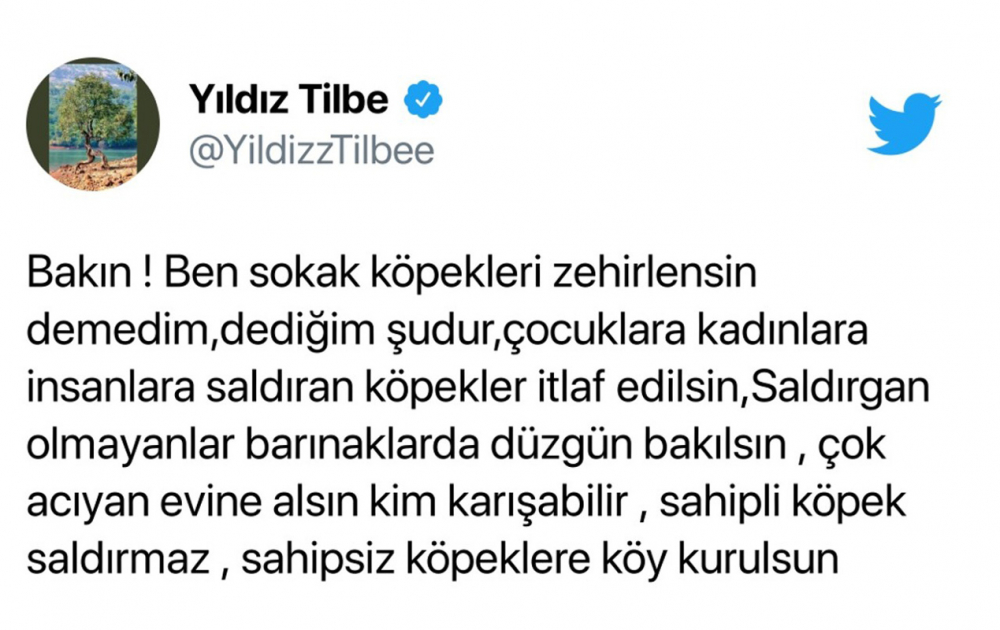 Yıldız Tilbe yine ağzını tutamadı, hayvanlar hakkında skandal sözler sarf etti! 4