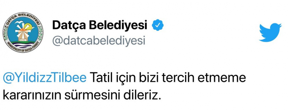 Yıldız Tilbe yine ağzını tutamadı, hayvanlar hakkında skandal sözler sarf etti! 6