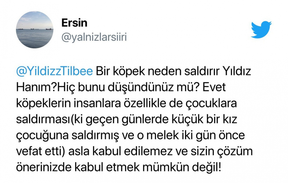 Yıldız Tilbe yine ağzını tutamadı, hayvanlar hakkında skandal sözler sarf etti! 7