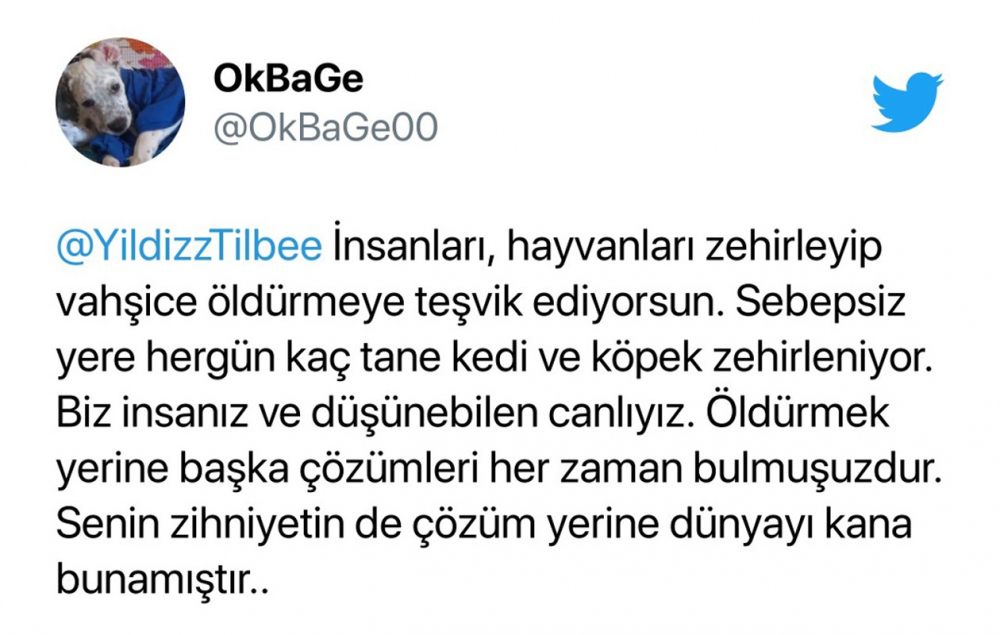 Yıldız Tilbe yine ağzını tutamadı, hayvanlar hakkında skandal sözler sarf etti! 9