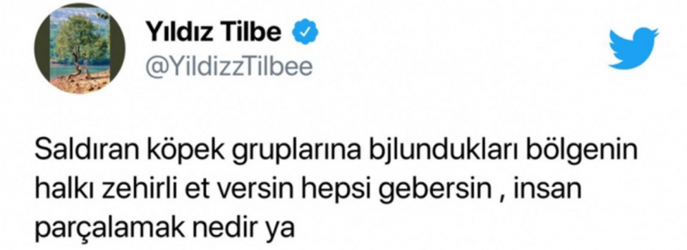 Youtuber Merve Özkaynak'tan Yıldız Tilbe'ye sert tepki! "Pudra şekeri fazla kaçtı beynine" 3