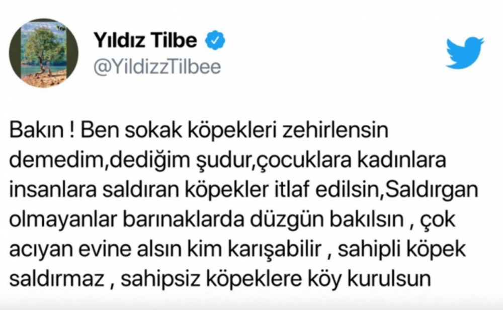 Youtuber Merve Özkaynak'tan Yıldız Tilbe'ye sert tepki! "Pudra şekeri fazla kaçtı beynine" 4