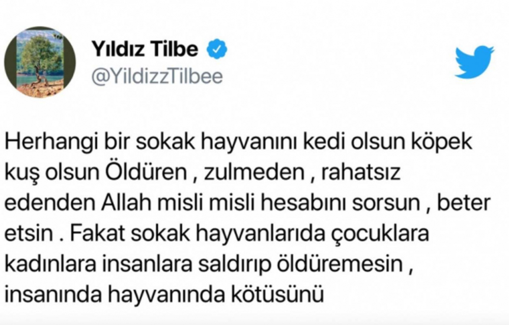 Youtuber Merve Özkaynak'tan Yıldız Tilbe'ye sert tepki! "Pudra şekeri fazla kaçtı beynine" 5