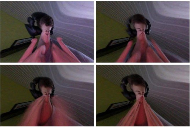 Google uyardı: Hemen silin, her şeyiniz çalınabilir! 30