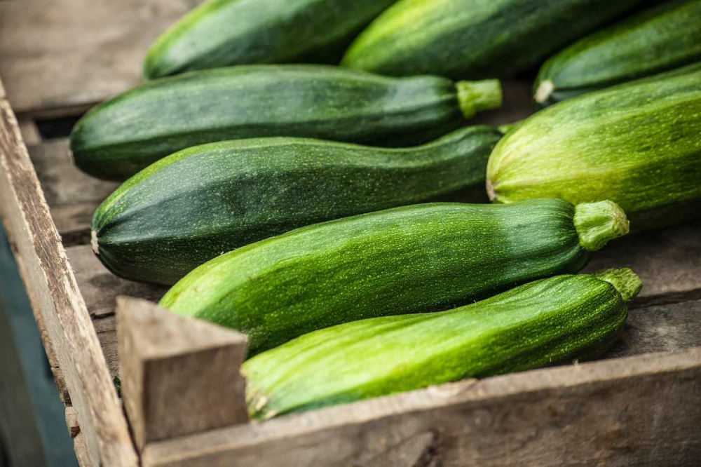 3 günde 3 kilo götürüyor! Kilo vermek isteyenler buraya! Yağları cayır cayır yakmanın tam zamanı! 13