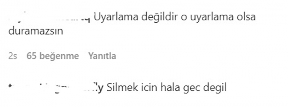 Anne With an E'den uyarlanan 'Yeşil Vadinin Kızı' dizisi sosyal medyada tepki topladı! "Dalga geçiyorlar bizimle" 13