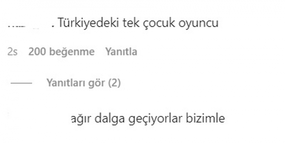 Anne With an E'den uyarlanan 'Yeşil Vadinin Kızı' dizisi sosyal medyada tepki topladı! "Dalga geçiyorlar bizimle" 14