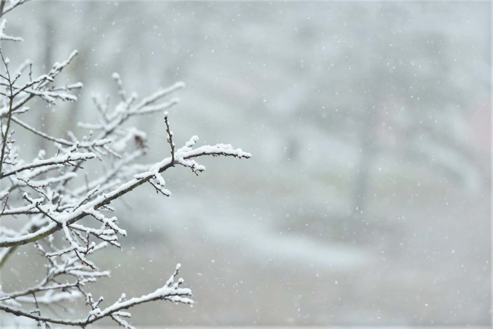 Kışlıkları geri çıkarın! Meteoroloji son dakikayı sarı uyarıyla duyurdu; Sakarya, Bolu ve Bartın'da şiddetli kar yağışı geliyor! 1