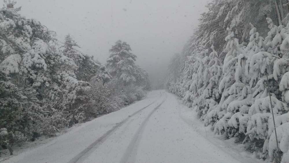 Kışlıkları geri çıkarın! Meteoroloji son dakikayı sarı uyarıyla duyurdu; Sakarya, Bolu ve Bartın'da şiddetli kar yağışı geliyor! 10