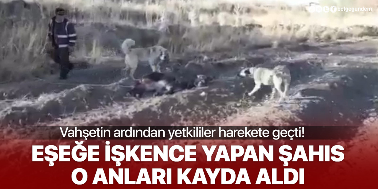 Kahramanmaraş'ta hayvana işkence! Biri eziyet etti diğer kameraya aldı! Görüntüler infial yarattı...