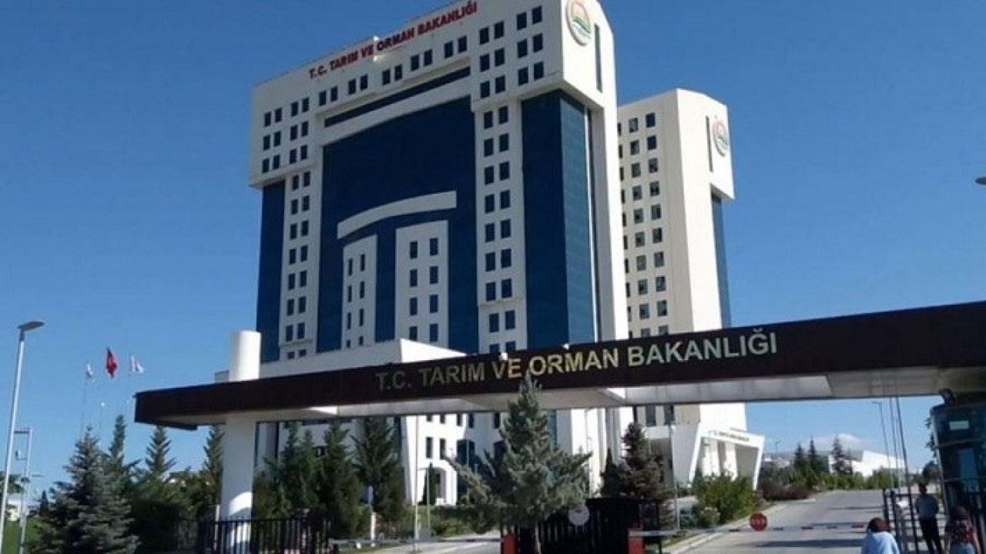 Tarım Bakanlığı personel alımı başvuru nasıl yapılır?  Tarım ve Orman Bakanlığı personel alımı şartları