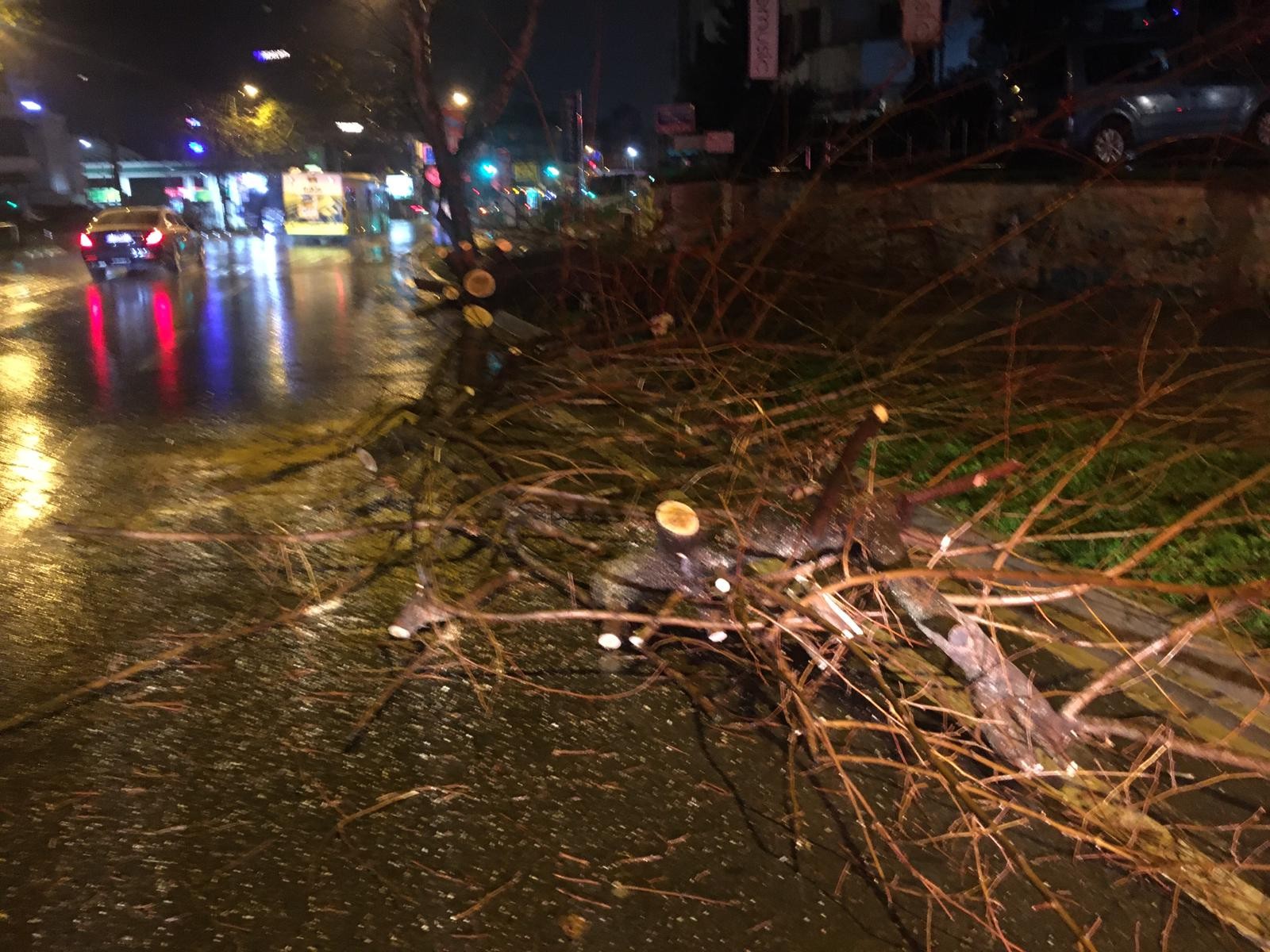 Faciadan dönüldü! Bağdat Caddesi'nde ağaç şiddetli yağış nedeniyle yola devrildi!