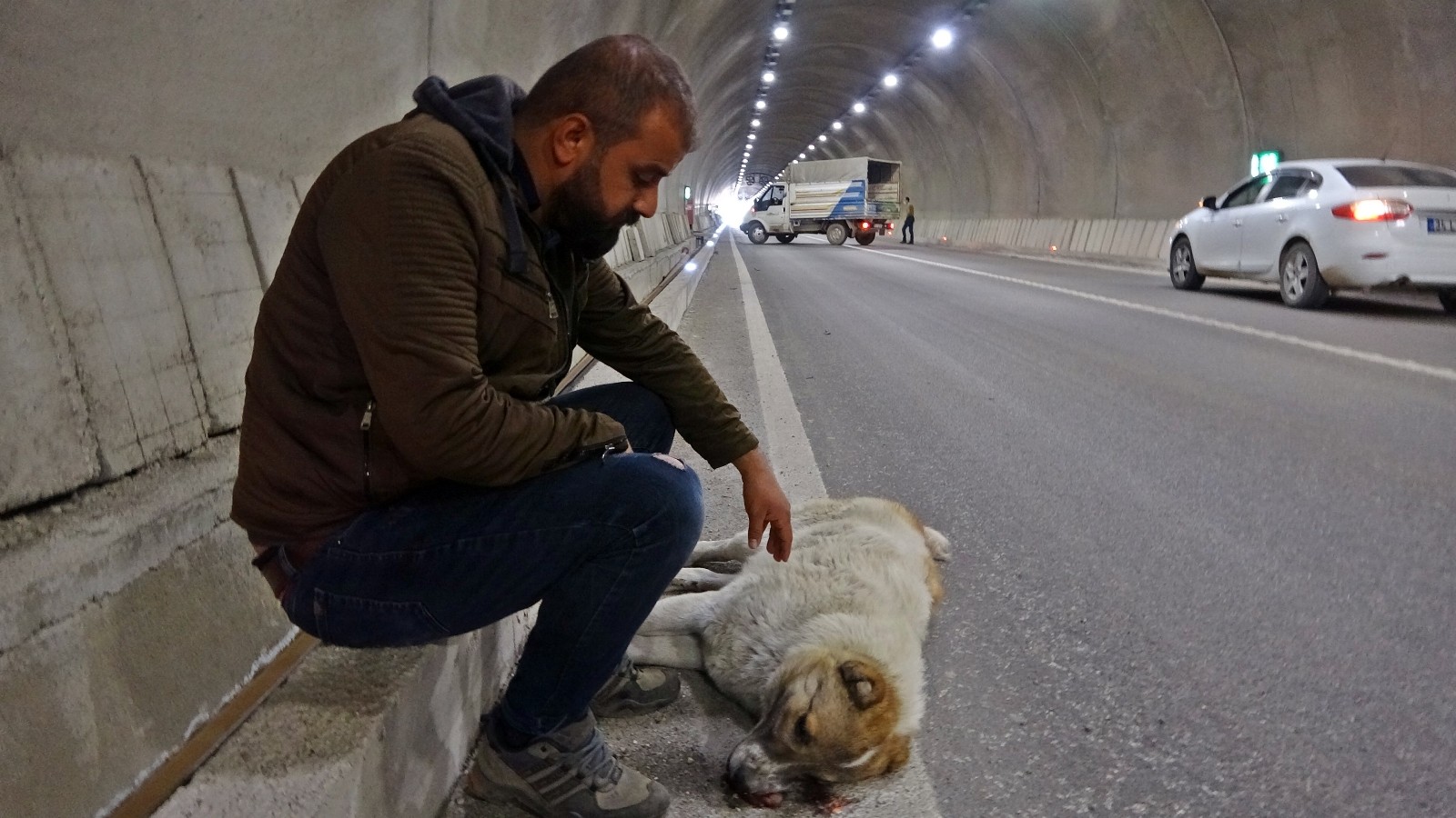 Yaralanan köpeğinin başında dakikalarca bekledi