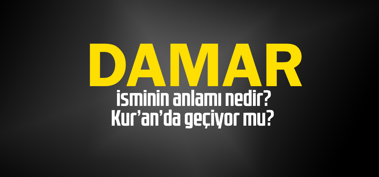 Damar isminin anlamı nedir, Damar ne demektir? Kuranda geçiyor mu?