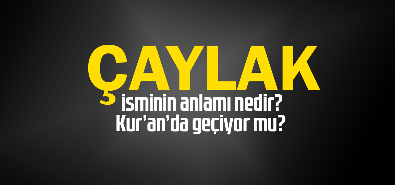 Çaylak isminin anlamı nedir, Çaylak ne demektir? Kuranda geçiyor mu?