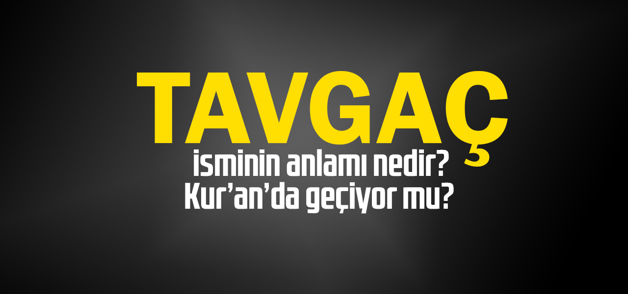 Tavgaç isminin anlamı nedir, Tavgaç ne demektir? Kuranda geçiyor mu?