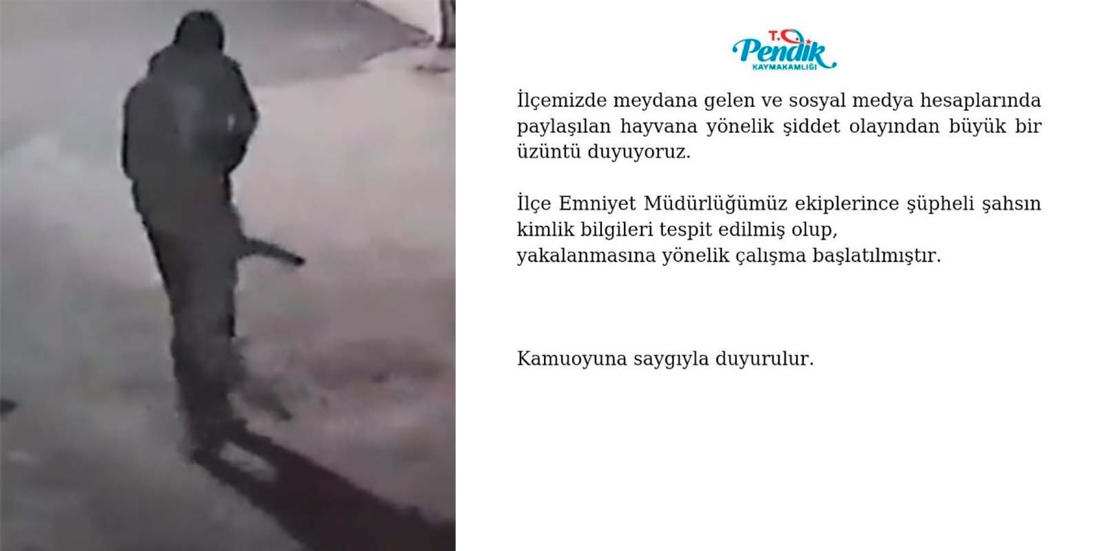 Pendik'te bir adam köpeğe canice şiddet uyguladı! Kaymakamlık harekete geçti! "Kimlik bilgileri tespit edildi"