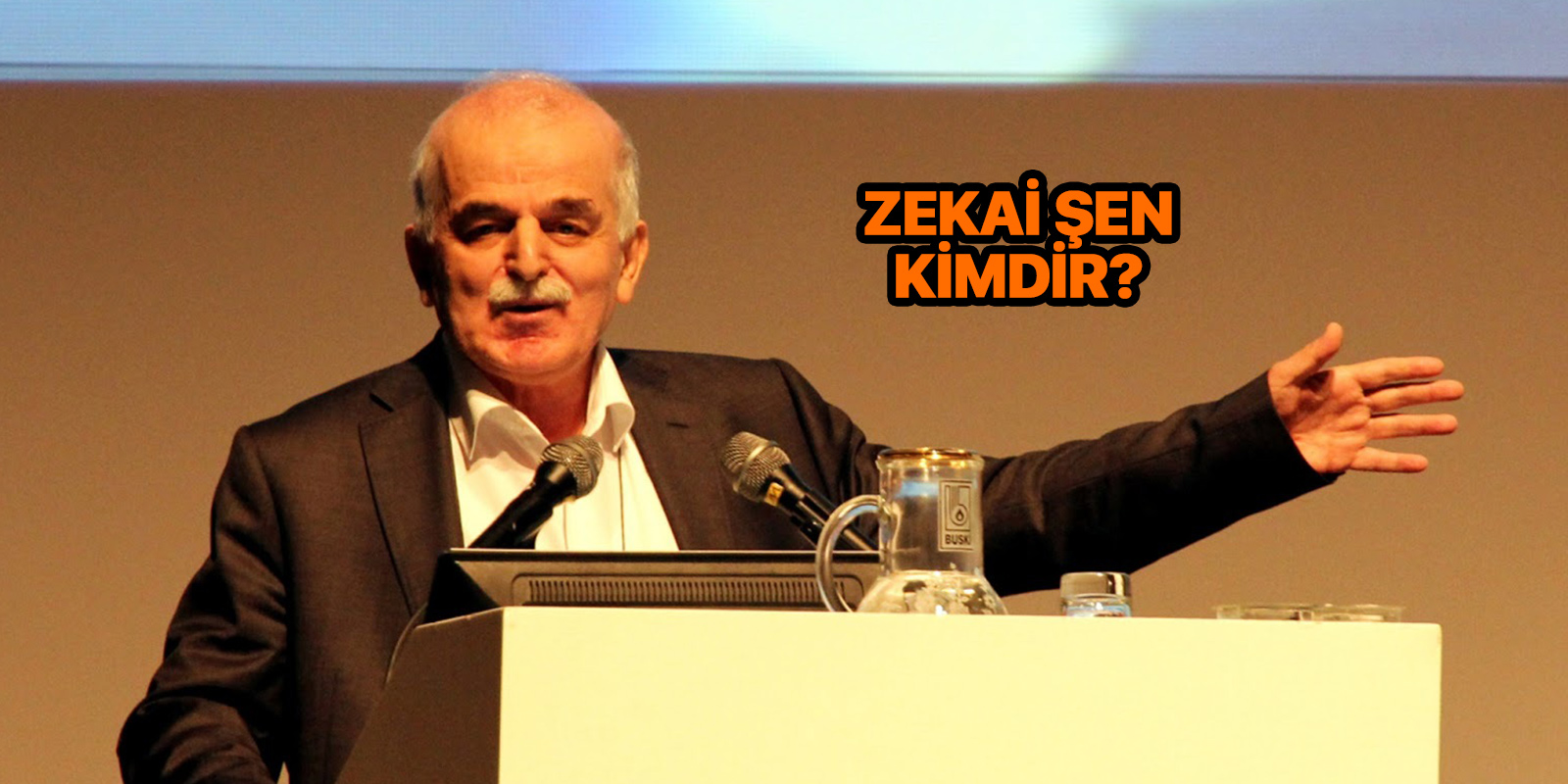 Zekai Şen kimdir? Nereli ve kaç yaşında? | Zekai Şen  eserleri nelerdir?