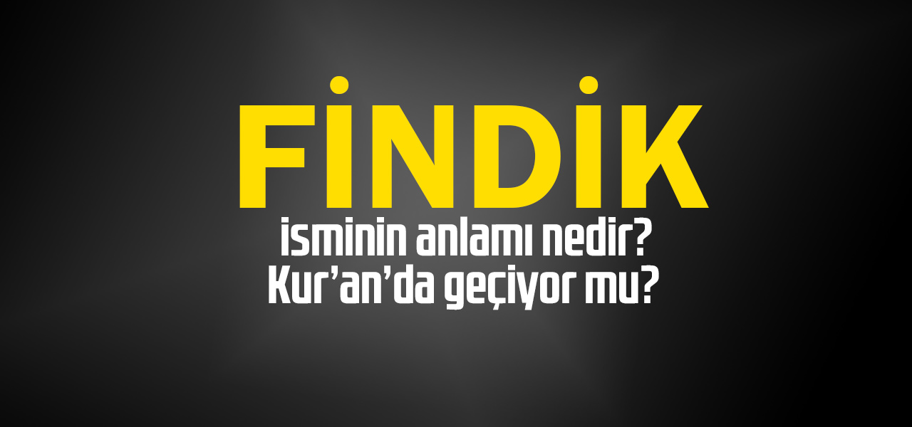 Findik isminin anlamı nedir, Findik ne demektir? Kuranda geçiyor mu?