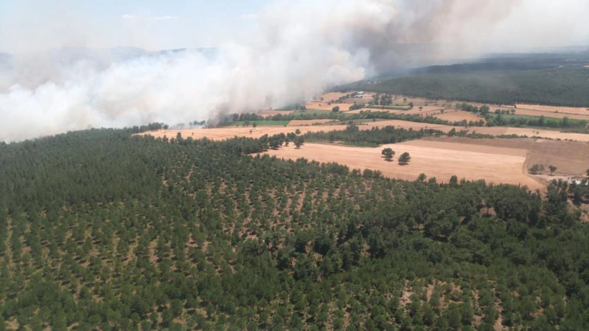 Çanakkale'de korkutan yangın! Alevler, rüzgarın etkisiyle ormana sıçradı!