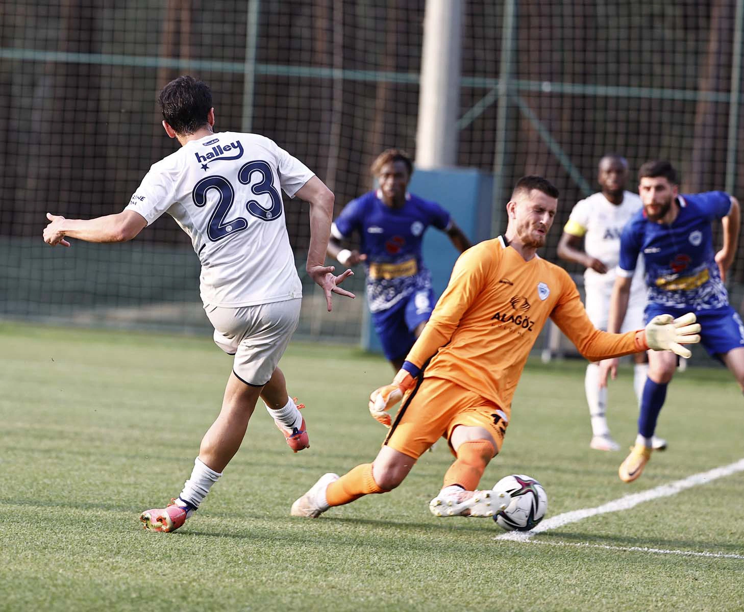 Hazırlık maçı: Fenerbahçe 2 - 2  Shkupi  | Maç özeti, goller