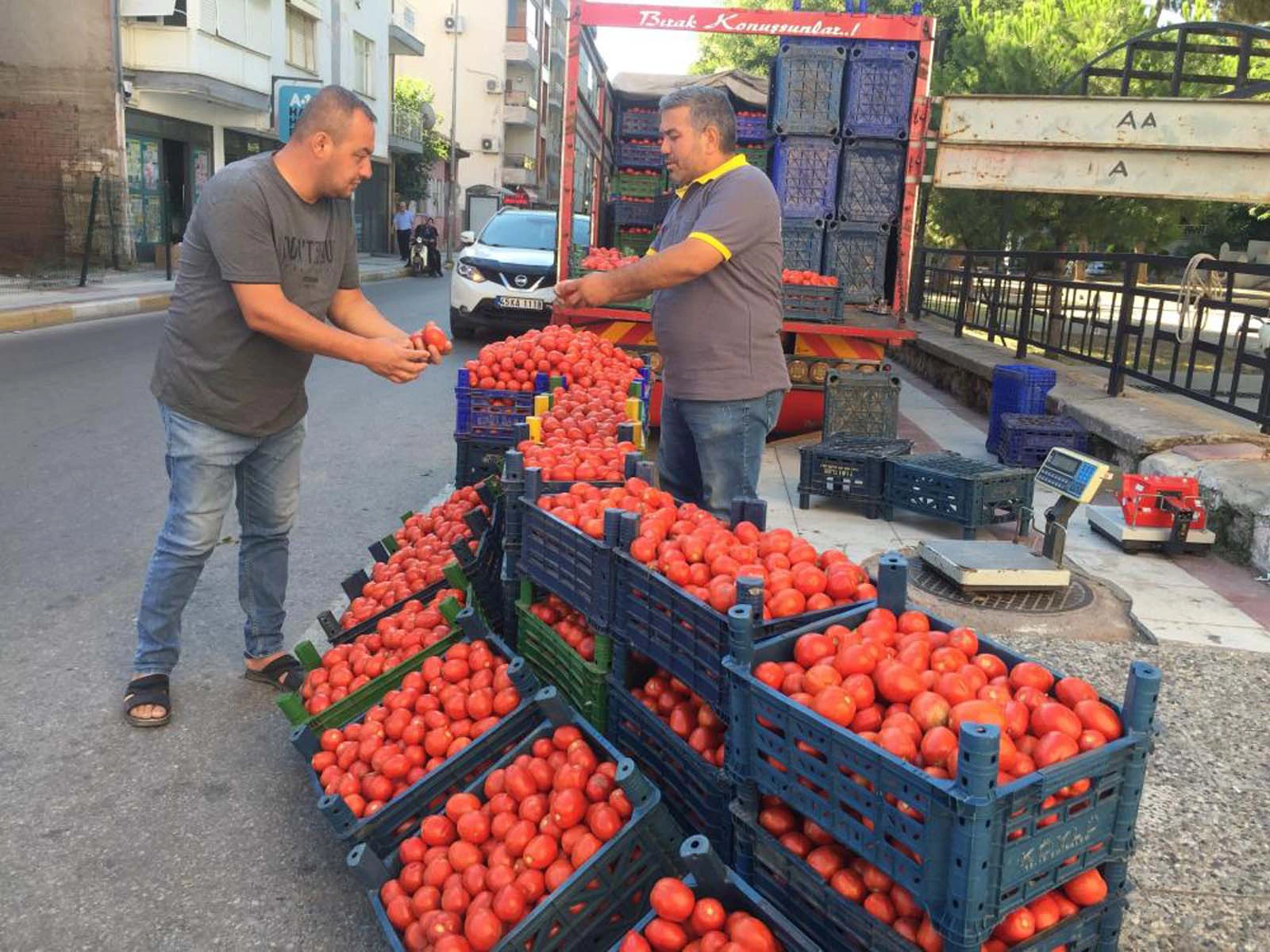 Domates salçası yapmak isteyenlere kötü haber! Fiyatlar geçen yıla göre yüzde 100 arttı!