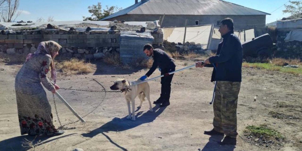 Sokak köpeği ısırdıktan sonra kuduz teşhisi koyulan çocuğun doktoru konuştu! "Durumu çok kritik"