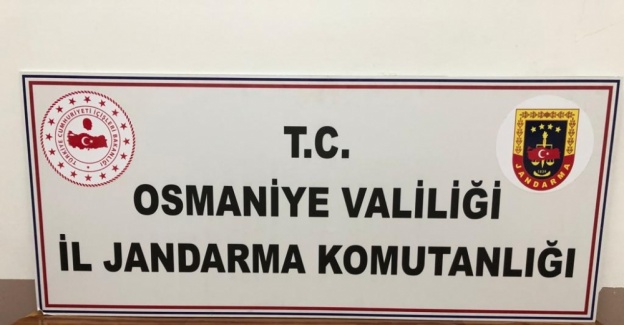 Osmaniye'de Jandarmanın arama yaptığı evden adeta cephanelik çıktı