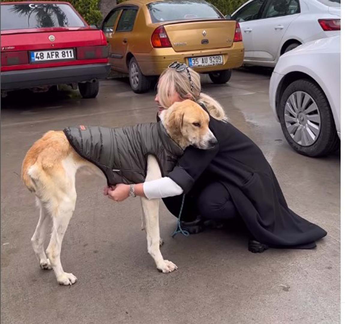 Fenomen Meriç Keskin'den duygulandıran paylaşım! Konya'daki barınaktan köpek sahiplendi: "Hoş geldin oğlum"