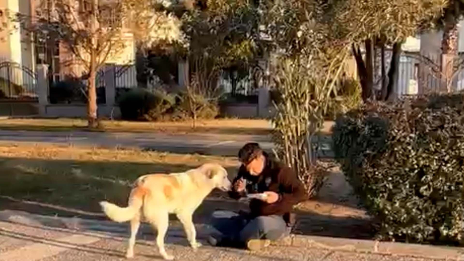 Polis memuru yürekleri sıcacık yaptı! Kumanyasını sokak köpeğiyle paylaştı!