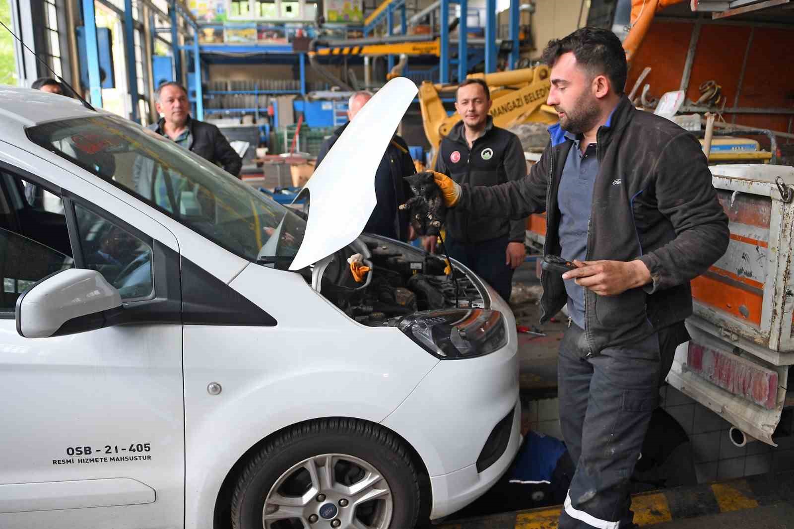 Motora sıkışan minik kedi için, görevliler seferber oldu